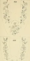 An illustration from Briggs & Co.'s patent transferring papers : patented for the United States of America (1880)