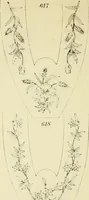 An illustration from Briggs & Co.'s patent transferring papers : patented for the United States of America (1880)