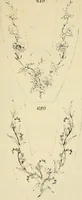 An illustration from Briggs & Co.'s patent transferring papers : patented for the United States of America (1880)