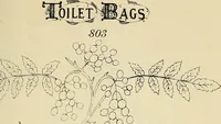 Picture 340 of 423 from Briggs & Co.'s patent transferring papers : patented for the United States of America (1880), leaf 200