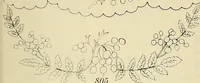 An illustration from Briggs & Co.'s patent transferring papers : patented for the United States of America (1880)