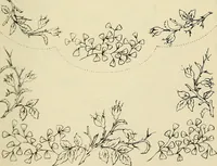 An illustration from Briggs & Co.'s patent transferring papers : patented for the United States of America (1880)
