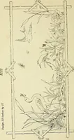 An illustration from Briggs & Co.'s patent transferring papers : patented for the United States of America (1880)