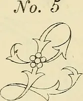 An illustration from Briggs & Co.'s patent transferring papers : patented for the United States of America (1880)