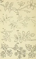 An illustration from Briggs & Co.'s patent transferring papers : patented for the United States of America (1880)