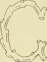 An illustration from Briggs & Co.'s patent transferring papers : patented for the United States of America (1880)