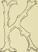 An illustration from Briggs & Co.'s patent transferring papers : patented for the United States of America (1880)