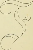 An illustration from Briggs & Co.'s patent transferring papers : patented for the United States of America (1880)