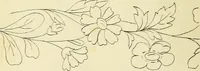 An illustration from Briggs & Co.'s patent transferring papers : patented for the United States of America (1880)