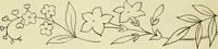 An illustration from Briggs & Co.'s patent transferring papers : patented for the United States of America (1880)