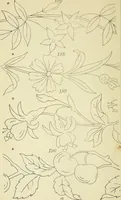 An illustration from Briggs & Co.'s patent transferring papers : patented for the United States of America (1880)