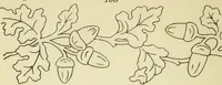 Picture 52 of 423 from Briggs & Co.'s patent transferring papers : patented for the United States of America (1880), leaf 29