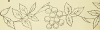 An illustration from Briggs & Co.'s patent transferring papers : patented for the United States of America (1880)
