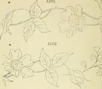 An illustration from Briggs & Co.'s patent transferring papers : patented for the United States of America (1880)