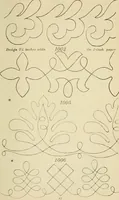 An illustration from Briggs & Co.'s patent transferring papers : patented for the United States of America (1880)