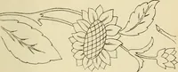 An illustration from Briggs & Co.'s patent transferring papers : patented for the United States of America (1880)