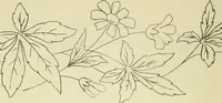 An illustration from Briggs & Co.'s patent transferring papers : patented for the United States of America (1880)
