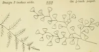 An illustration from Briggs & Co.'s patent transferring papers : patented for the United States of America (1880)