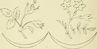 An illustration from Briggs & Co.'s patent transferring papers : patented for the United States of America (1880)