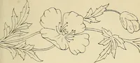 An illustration from Briggs & Co.'s patent transferring papers : patented for the United States of America (1880)
