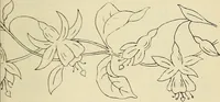 An illustration from Briggs & Co.'s patent transferring papers : patented for the United States of America (1880)