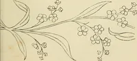 An illustration from Briggs & Co.'s patent transferring papers : patented for the United States of America (1880)