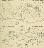 An illustration from Briggs & Co.'s patent transferring papers : patented for the United States of America (1880)