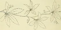 An illustration from Briggs & Co.'s patent transferring papers : patented for the United States of America (1880)