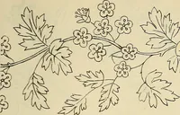 An illustration from Briggs & Co.'s patent transferring papers : patented for the United States of America (1880)