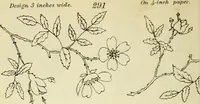 An illustration from Briggs & Co.'s patent transferring papers : patented for the United States of America (1880)