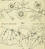 An illustration from Briggs & Co.'s patent transferring papers : patented for the United States of America (1880)