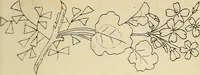 An illustration from Briggs & Co.'s patent transferring papers : patented for the United States of America (1880)