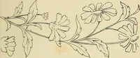 An illustration from Briggs & Co.'s patent transferring papers : patented for the United States of America (1880)