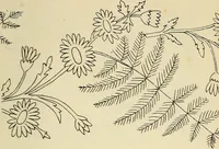 An illustration from Briggs & Co.'s patent transferring papers : patented for the United States of America (1880)