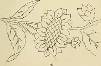 An illustration from Briggs & Co.'s patent transferring papers : patented for the United States of America (1880)