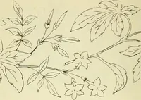An illustration from Briggs & Co.'s patent transferring papers : patented for the United States of America (1880)