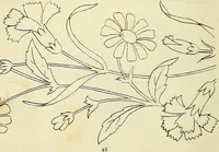 An illustration from Briggs & Co.'s patent transferring papers : patented for the United States of America (1880)