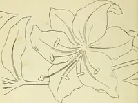 An illustration from Briggs & Co.'s patent transferring papers : patented for the United States of America (1880)