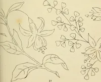 An illustration from Briggs & Co.'s patent transferring papers : patented for the United States of America (1880)