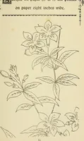 An illustration from Briggs & Co.'s patent transferring papers : patented for the United States of America (1880)