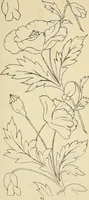 An illustration from Briggs & Co.'s patent transferring papers : patented for the United States of America (1880)
