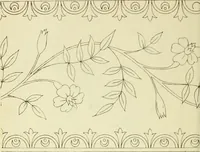 An illustration from Briggs & Co.'s patent transferring papers : patented for the United States of America (1880)
