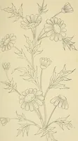 An illustration from Briggs & Co.'s patent transferring papers : patented for the United States of America (1880)