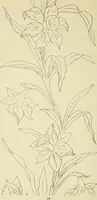 An illustration from Briggs & Co.'s patent transferring papers : patented for the United States of America (1880)