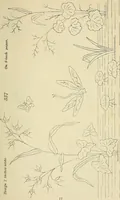 An illustration from Briggs & Co.'s patent transferring papers : patented for the United States of America (1880)