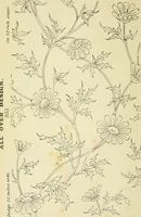 Picture 163 of 423 from Briggs & Co.'s patent transferring papers : patented for the United States of America (1880), leaf 87