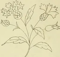 An illustration from Briggs & Co.'s patent transferring papers : patented for the United States of America (1880)