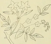An illustration from Briggs & Co.'s patent transferring papers : patented for the United States of America (1880)