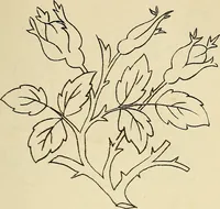 An illustration from Briggs & Co.'s patent transferring papers : patented for the United States of America (1880)