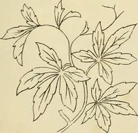 An illustration from Briggs & Co.'s patent transferring papers : patented for the United States of America (1880)